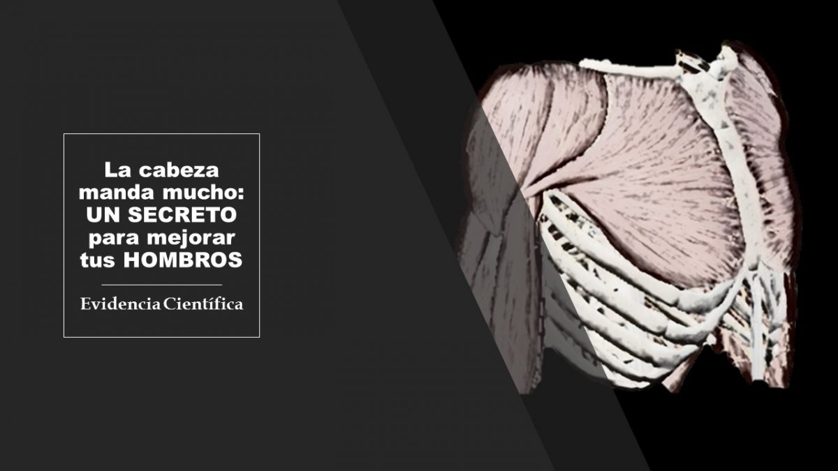 Un secreto para mejorar tus hombros
