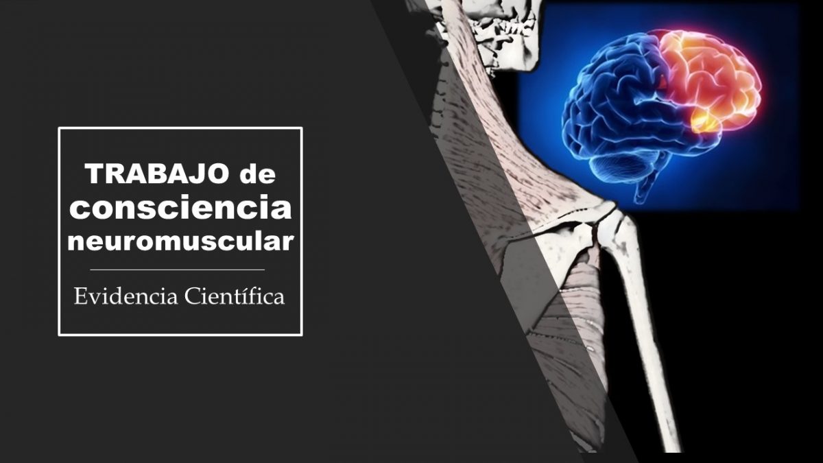 Consciencia neuromuscular: Hombro y Abdomen