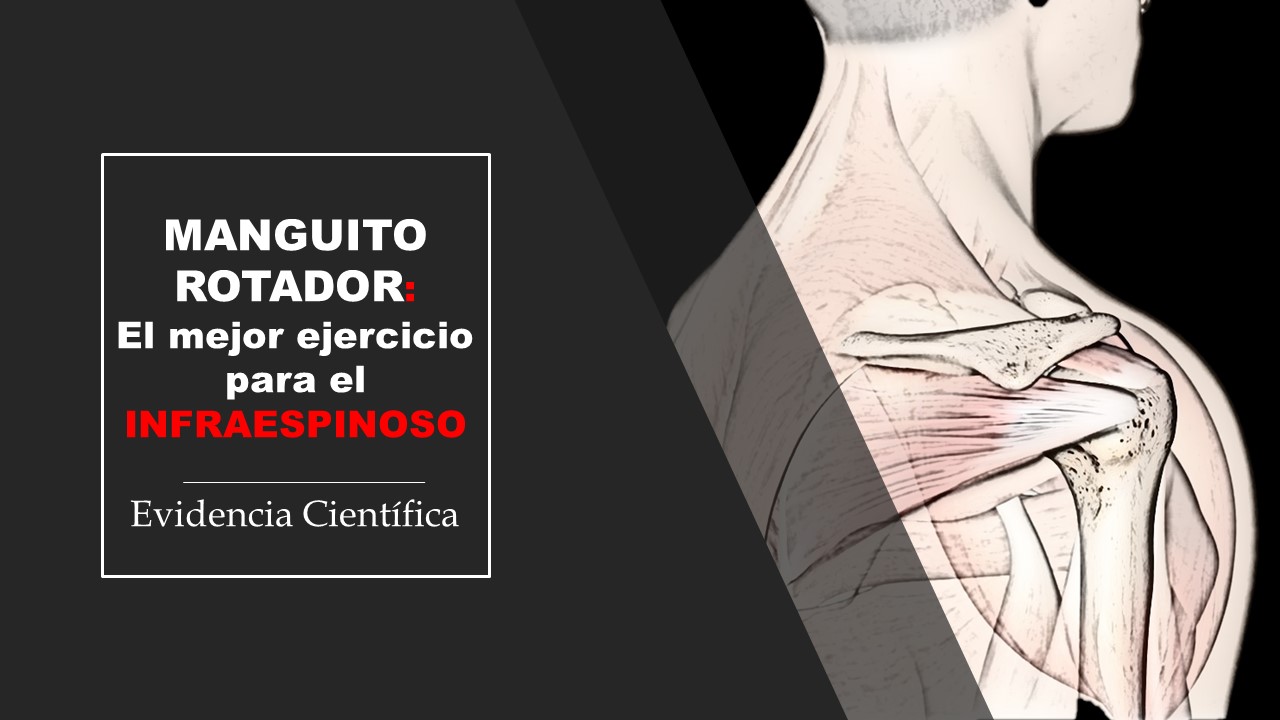 Manguito rotador infraespinoso: el mejor ejercicio