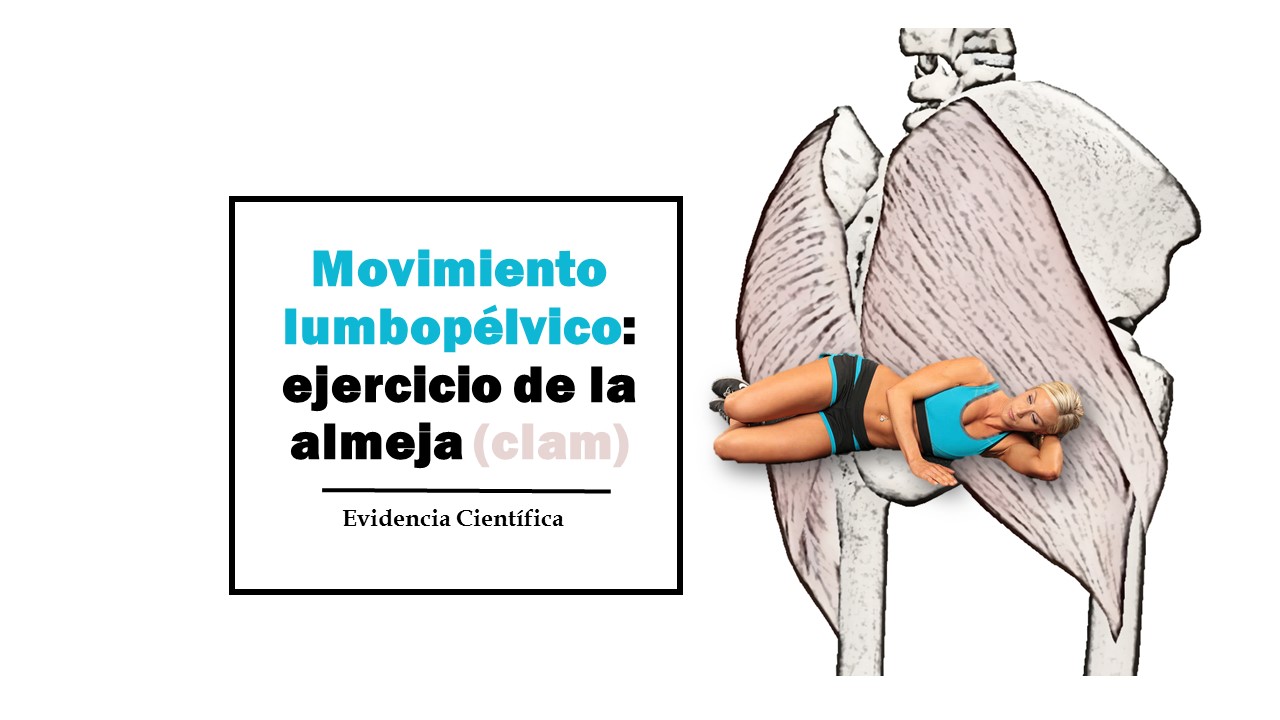 Movimiento lumbopélvico: ejercicio de la almeja (clam)