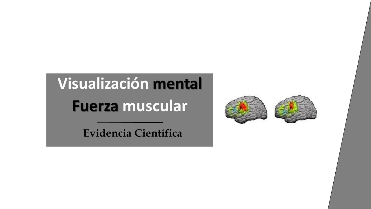Formación Fisios y Entrenadores: VISUALIZACIÓN