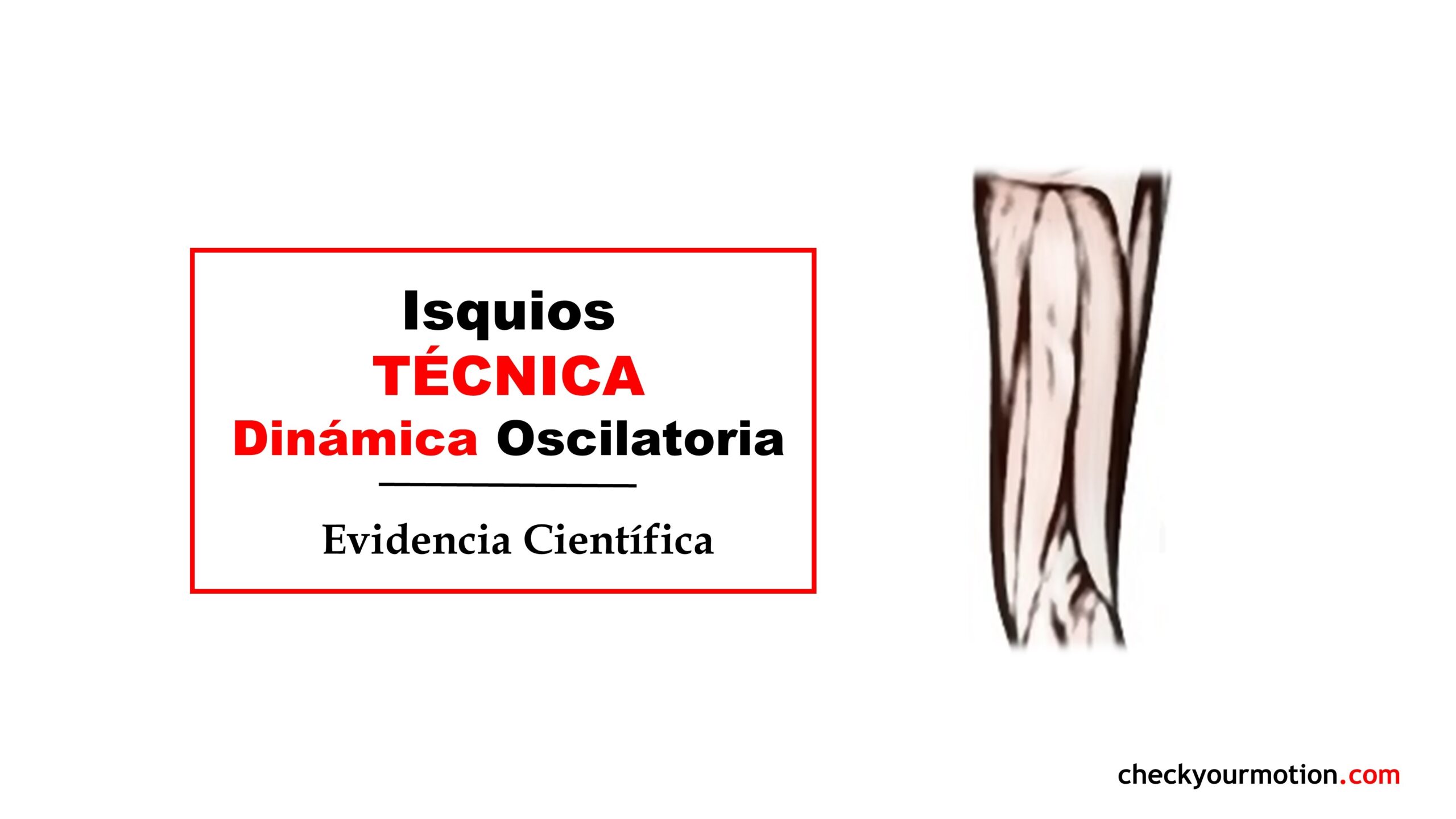 Nueva técnica de estiramiento