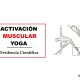 posturas de yoga musculos activacion
