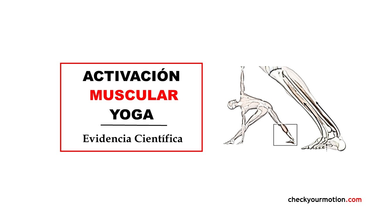 Yoga posturas: activación muscular