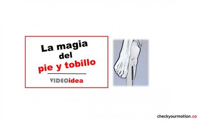 Acciones del pie y CARs