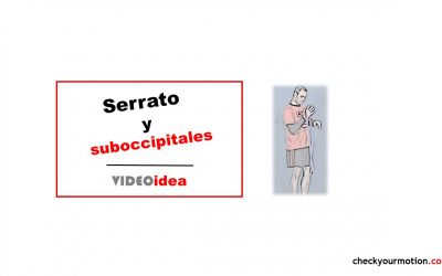 Ejercicios terapéuticos y control motor: cervical