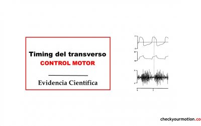 Timing del transverso: ejercicio control motor