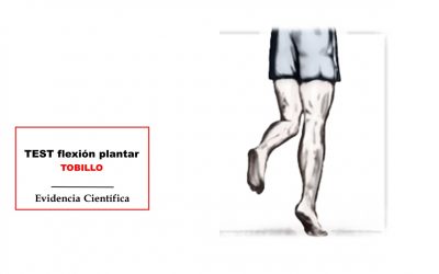 Flexión Plantar Tobillo: TEST