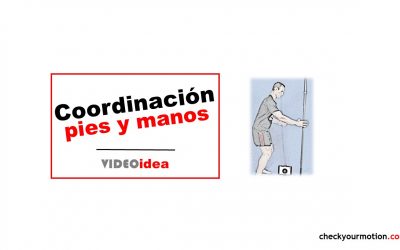 Coordinación óculo-motora