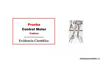 Prueba Control Motor Cadera