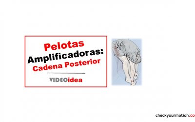 Movilidad Cadena Posterior