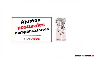 Ajustes posturales anticipatorios y compensatorios