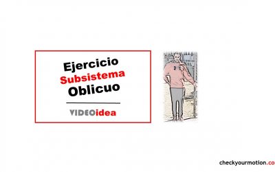 Ejercicio Subsistema Oblicuo