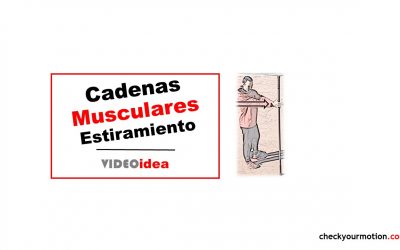 Movilidad 3D cadenas musculares