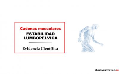 ESTABILIDAD LUMBOPÉLVICA: Cadenas musculares