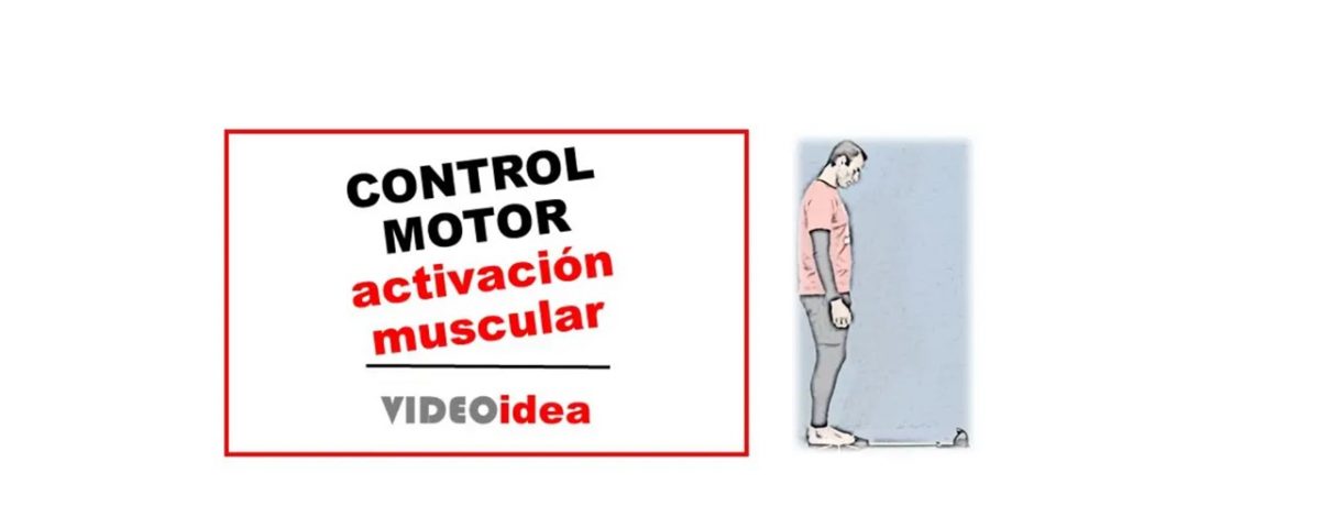 control motor y patrones de activación muscular