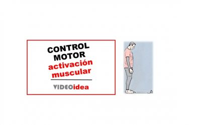 Control motor: amplifica los patrones de activación