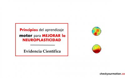 MEJORAR la NEUROPLASTICIDAD para el LCA