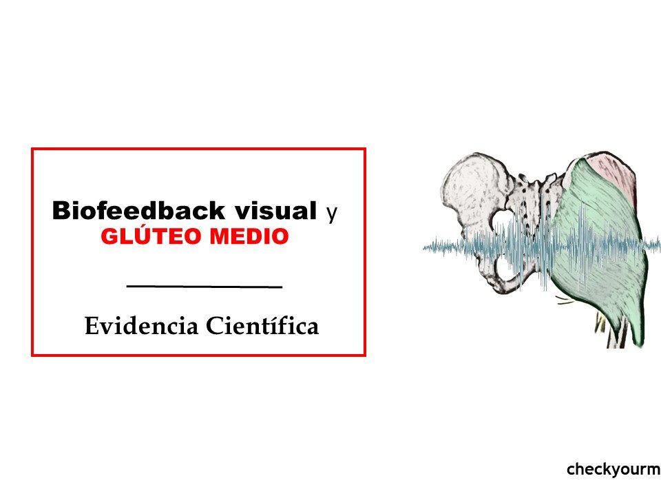 Biofeedback visual y GLÚTEO MEDIO