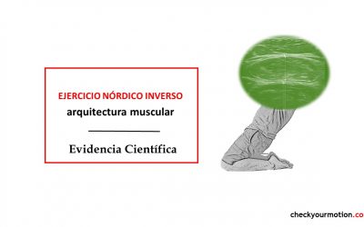 Curl nórdico invertido: efectos en la arquitectura muscular