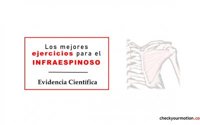 Los mejores ejercicios para el INFRAESPINOSO