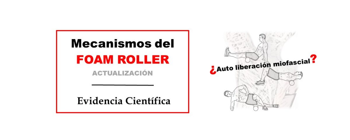 Revisión científica sobre los mecanismos del foam roller