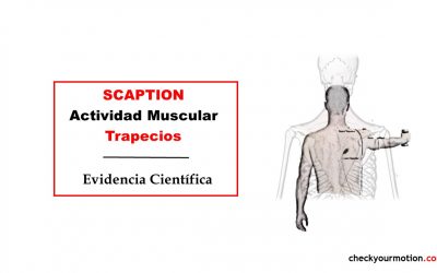 Actividad muscular de los trapecios durante el SCAPTION