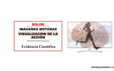 Neuroentrenamiento imagenes motoras y visualización para el dolor