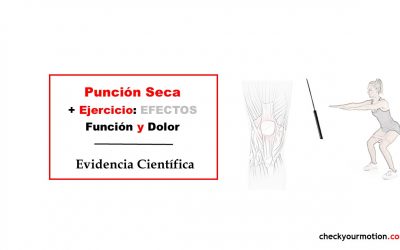 Evidencia de los efectos punción seca y ejercicio terapéutico