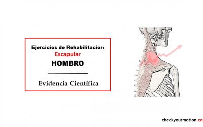 Ejercicios rehabilitación escapular: correctivos de hombro