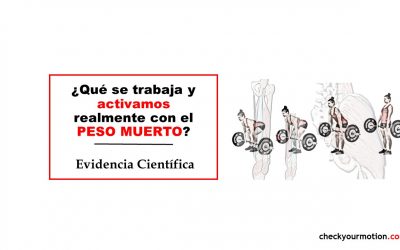 ¿Qué se trabaja y activamos realmente con el peso muerto?