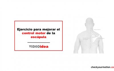 Ejercicio para mejorar el control motor de la escápula