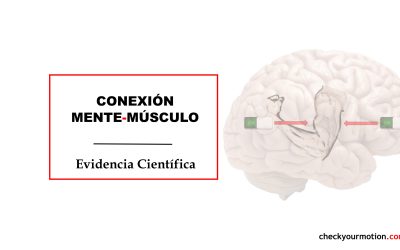 🧠-💪🏻||Conexión mente-músculo||