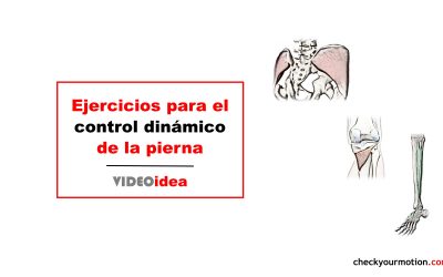 🎯3 ejercicios 🔝 para el control motor y fortalecimiento de la pierna🦵