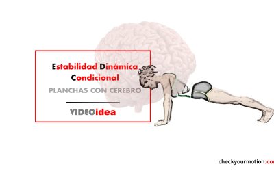 Planchas Con Cerebro: Estabilidad Dinámica Condicional