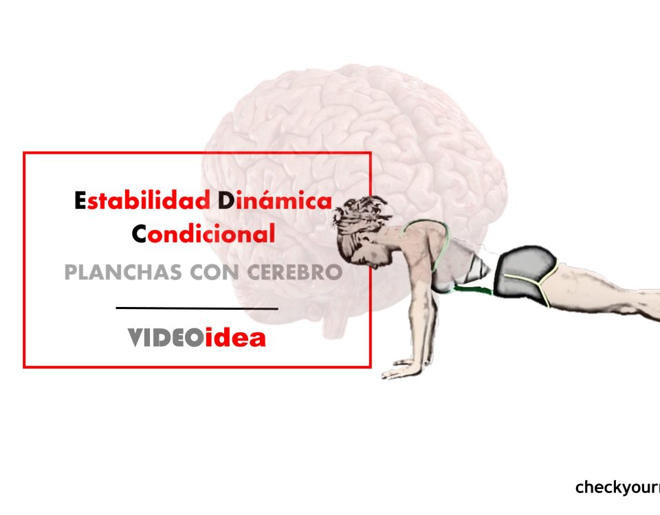 Estabilidad Dinámica Condicional_planchas con cerebro