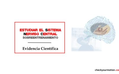 🧠Test sobreentrenamiento: Sistema Nervioso Central☝️