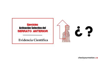 >>Ejercicios analíticos para fortalecer el serrato anterior
