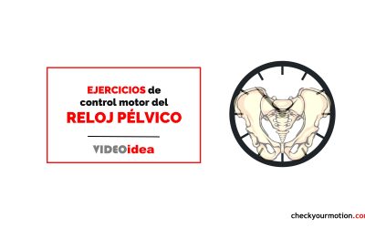 Fortalece tus músculos pélvicos con los ejercicios de control motor del reloj pélvico: guía completa con vídeo tutorial